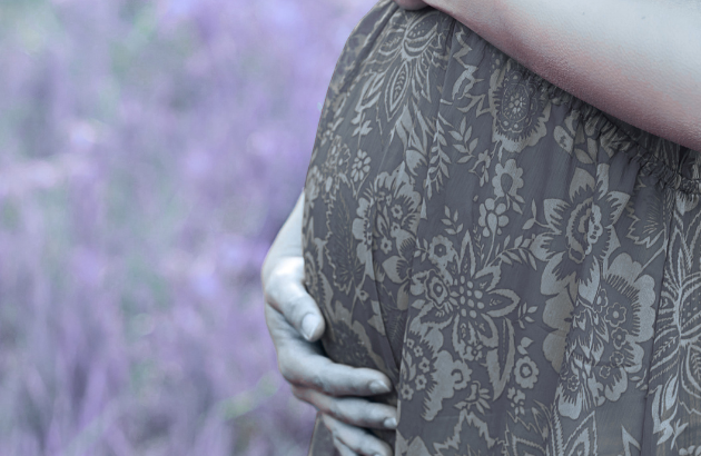 Trudnički trbuh 2 Mi smo trudni